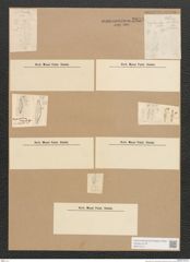 Diatomeae indet. Zeichnungen Sammlung Grunow Nr. 2838 (NHMW-BOT-W0370151)